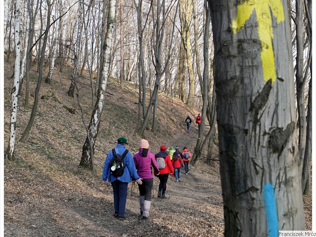 dobrze oznakowany odcinek trasy