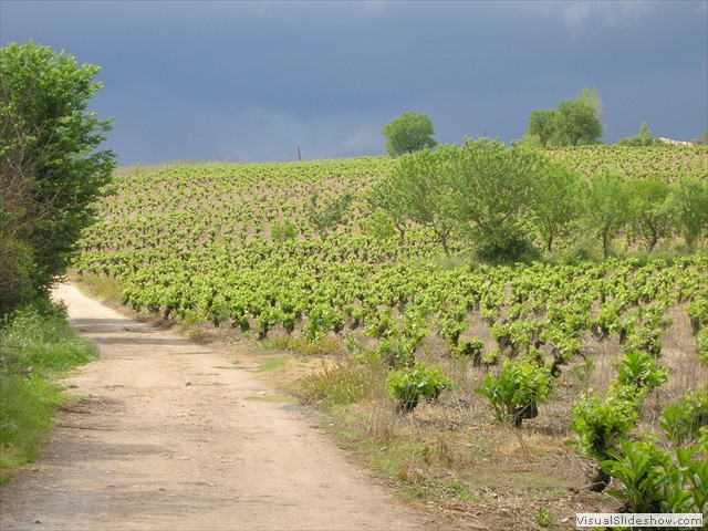 samotnosc wsrod urodzajnych równin La Rioja i granatowych chmur mknacych po niebie